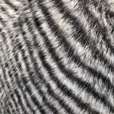 100% ポリエステル フロント素材 冬装用 偽毛布 異なる密度